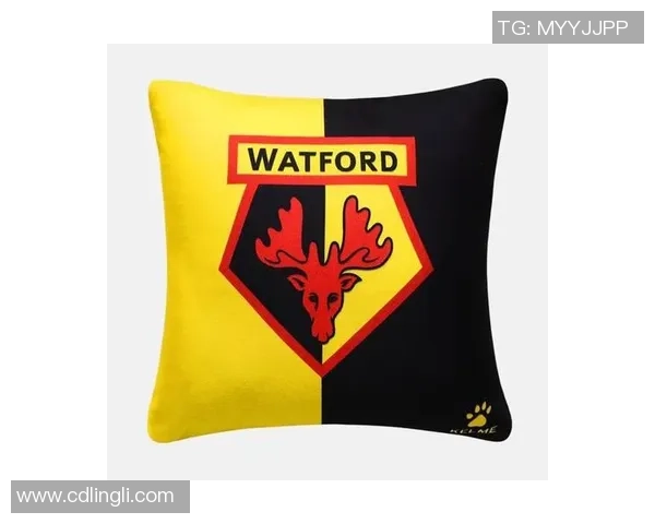 现役足球明星抱枕的魅力与收藏价值探讨